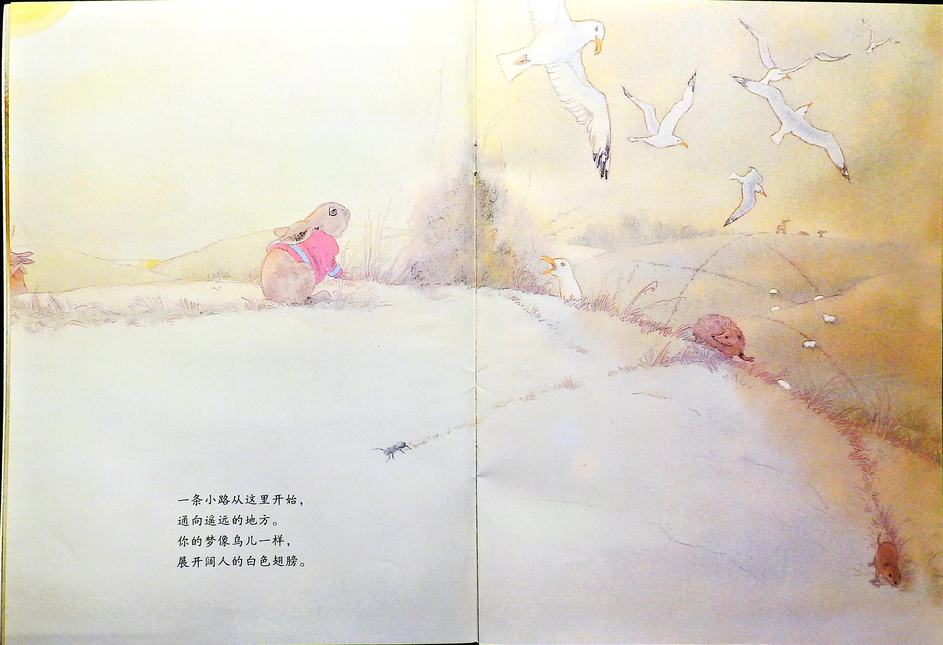 给你的祝愿 (06),绘本,绘本故事,绘本阅读,故事书,童书,图画书,课外阅读